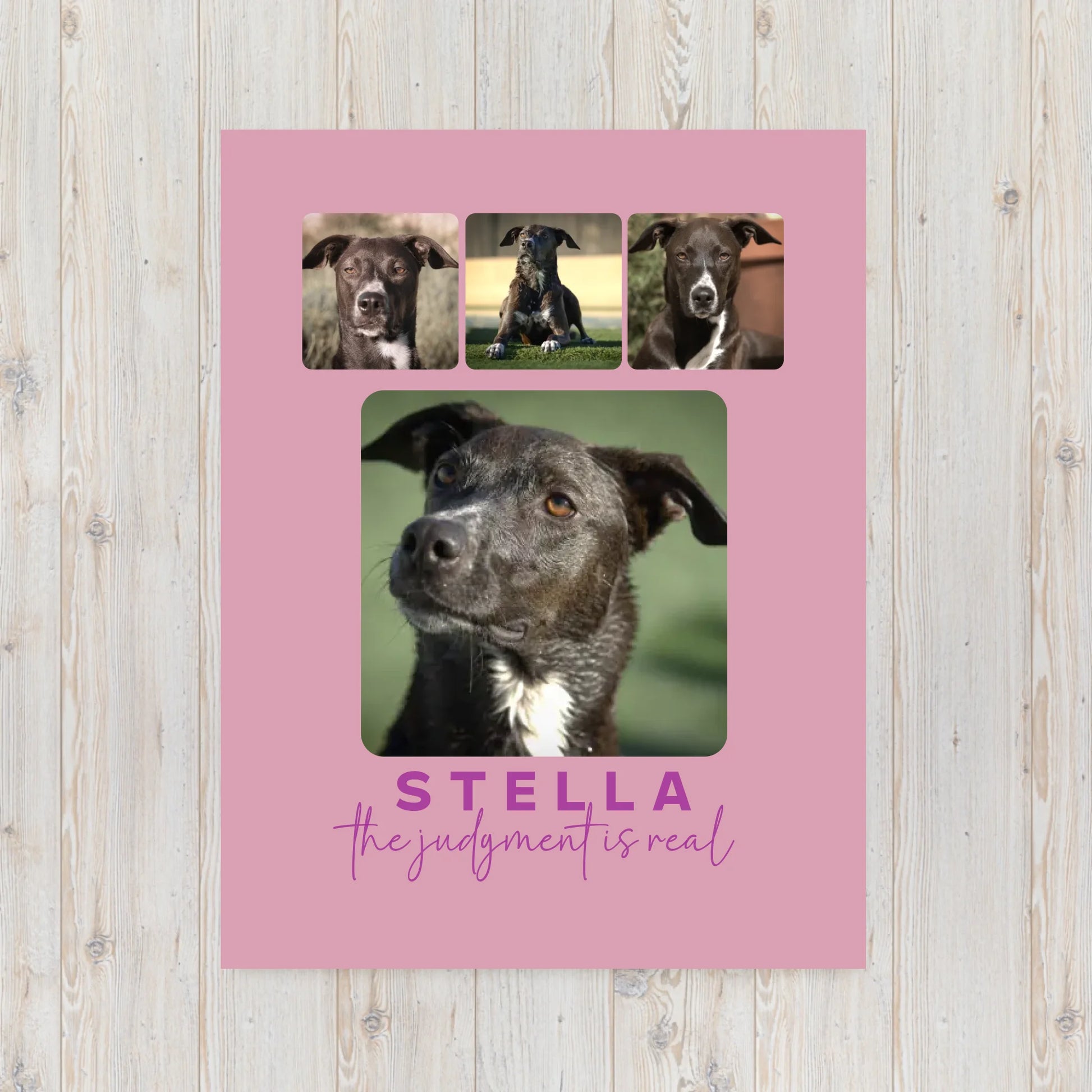 throw-blanket-30x40-front-6939c79f2b773