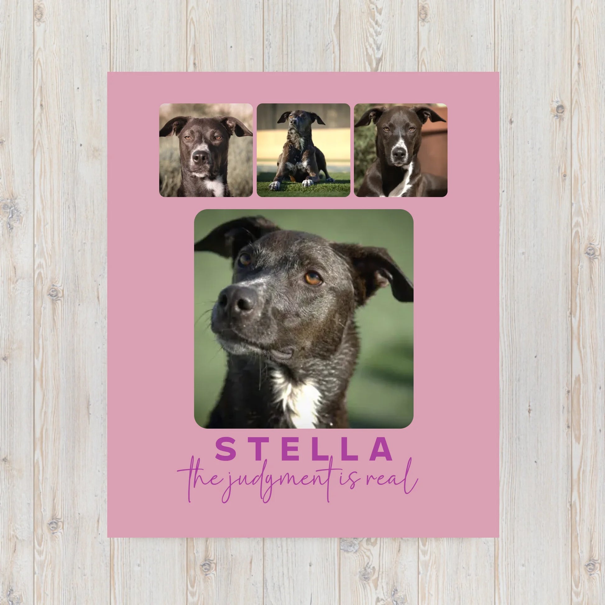 throw-blanket-30x40-front-6939c79f2b773