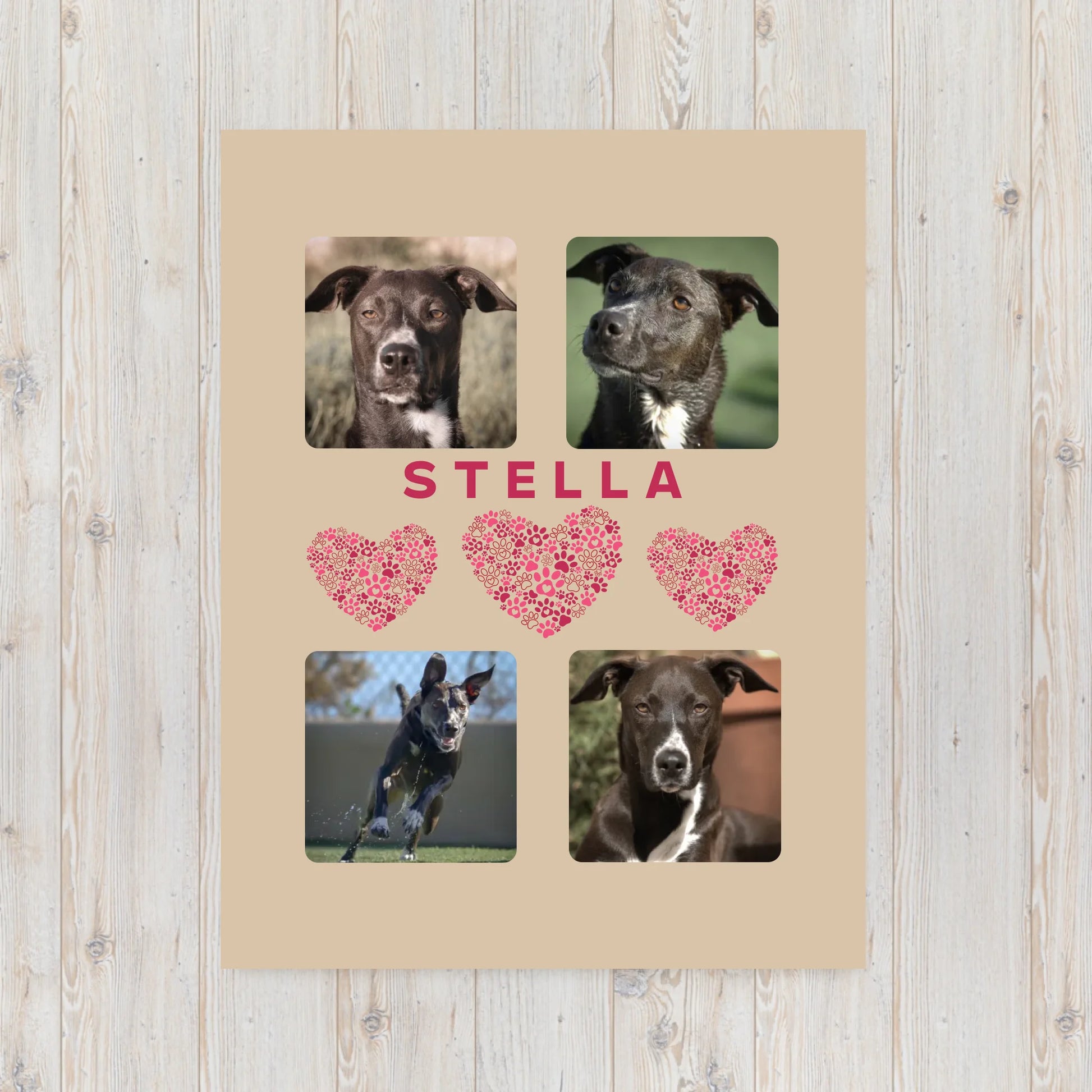 throw-blanket-30x40-front-6939c79f2b773