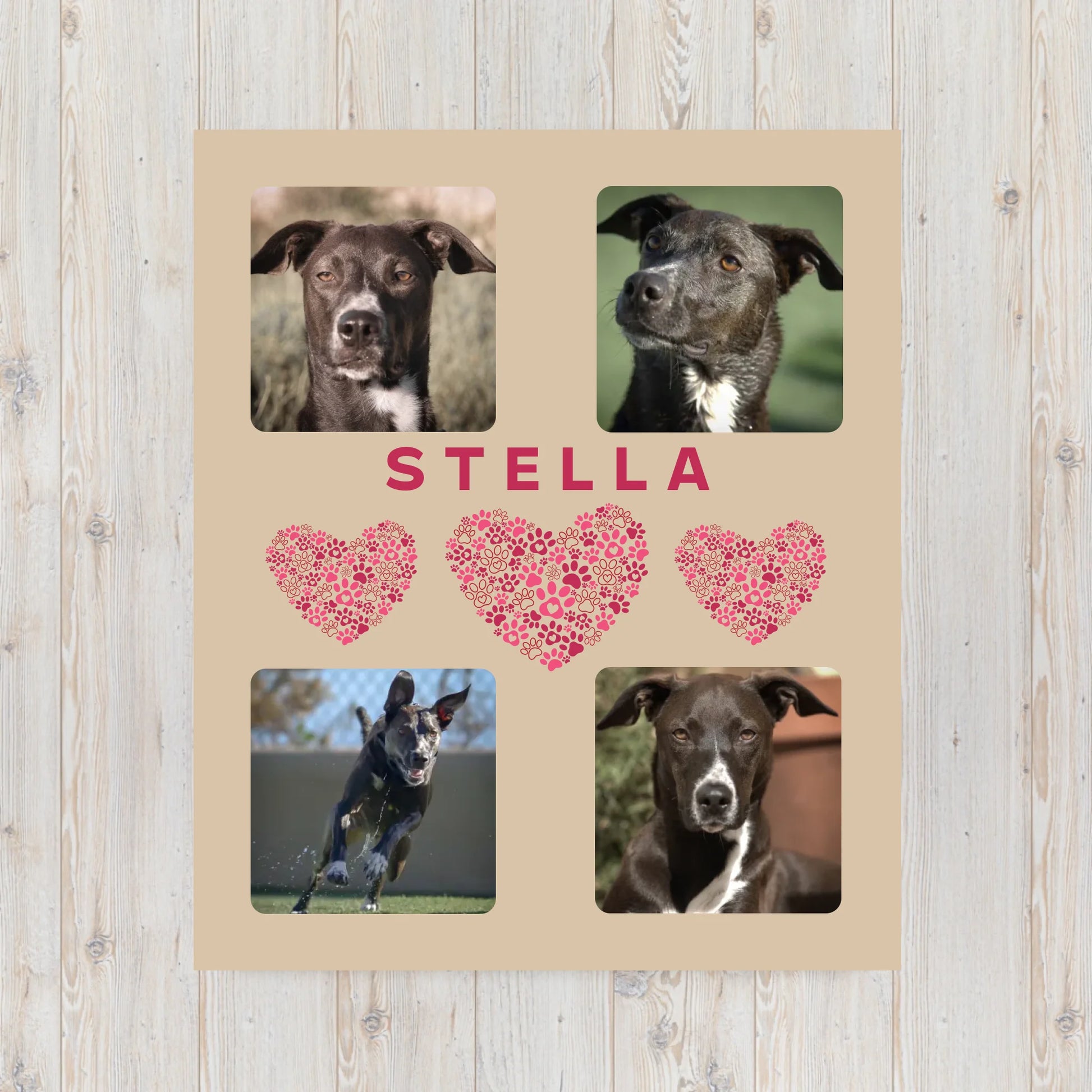 throw-blanket-30x40-front-6939c79f2b773