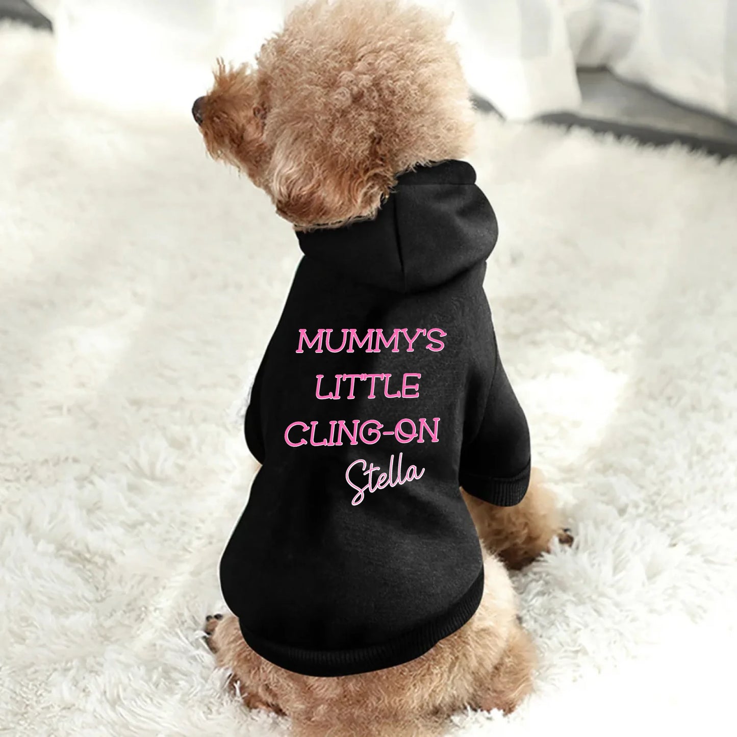 A fluffy dog wearing a personalised black hoodie featuring the phrase “Mummy’s Little Cling-On” and the name Stella in pink lettering. A cosy, adorable outfit for small dogs who love to stick close to their favourite human — ideal for doting dog mums